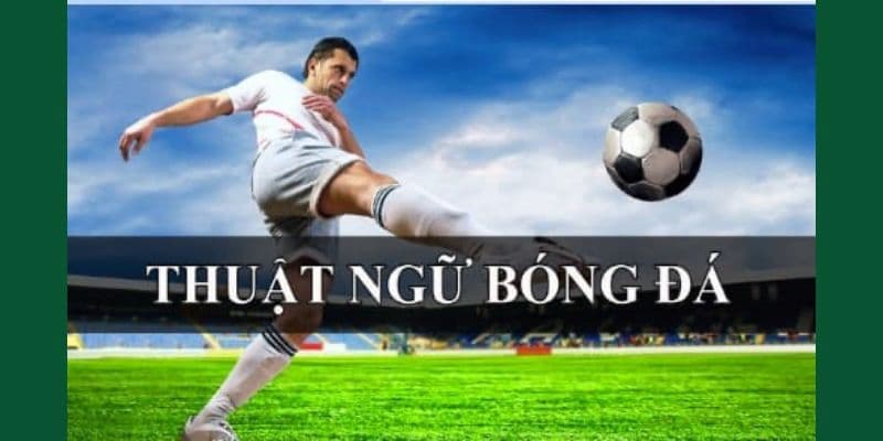 Cá Độ Là Gì?
